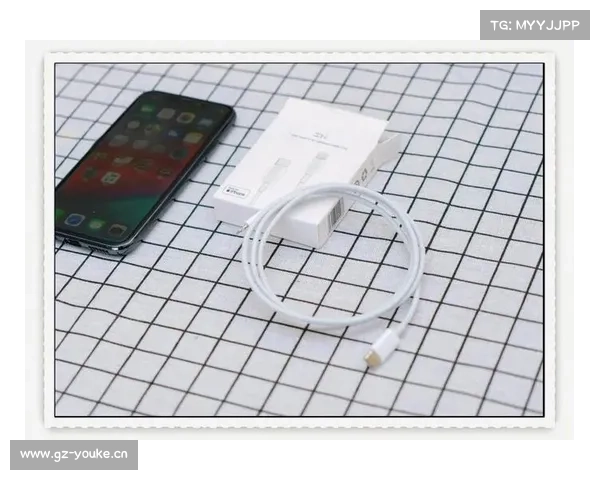 iPhone用户福音!苹果MFi认证第三方PD快充线开售 iPhone用户福音!苹果MFi认证第三方PD快充线开售